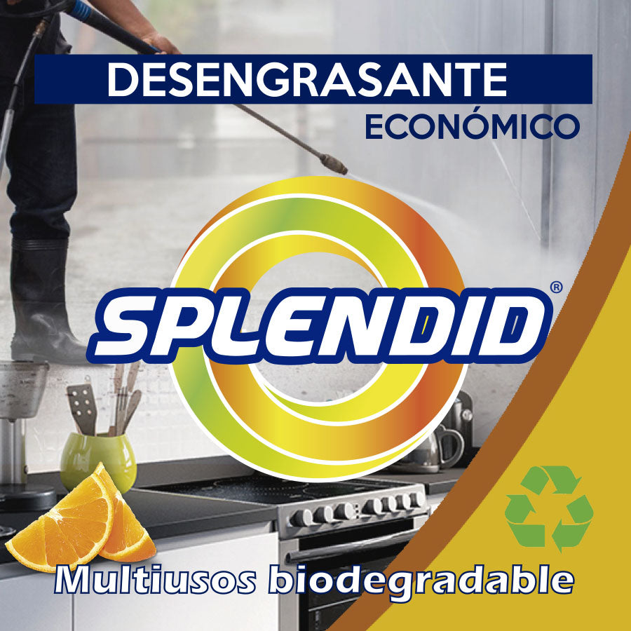 Desengrasante Económico