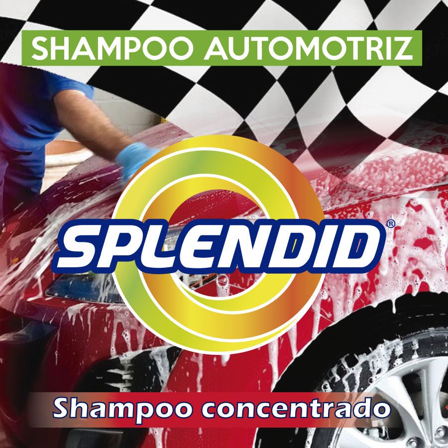 Shampoo para autos